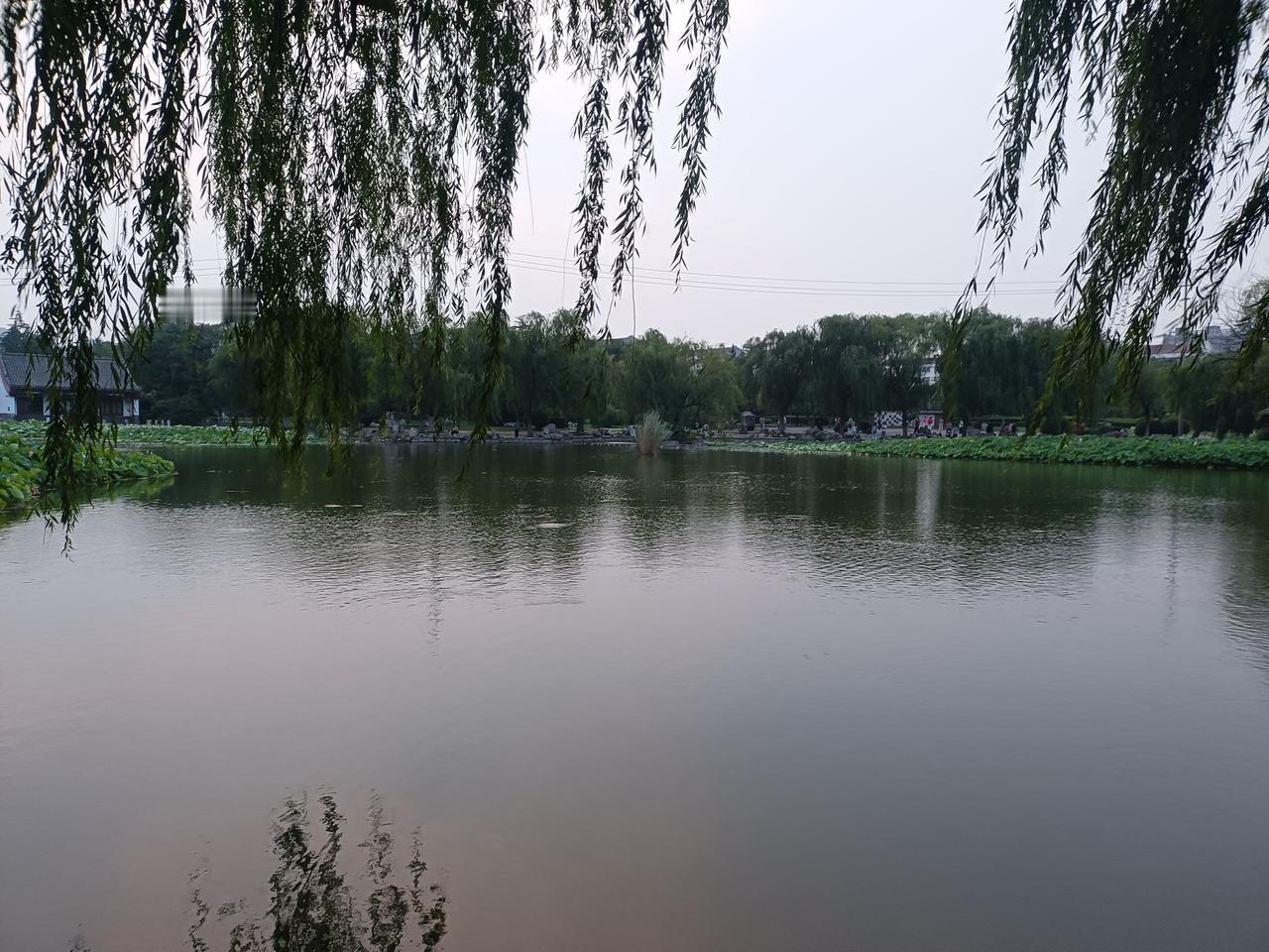 形意拳，
把劈拳这一把劲练好，
也就是立圆，
这把劲练好了再慢慢分生其它，
这就