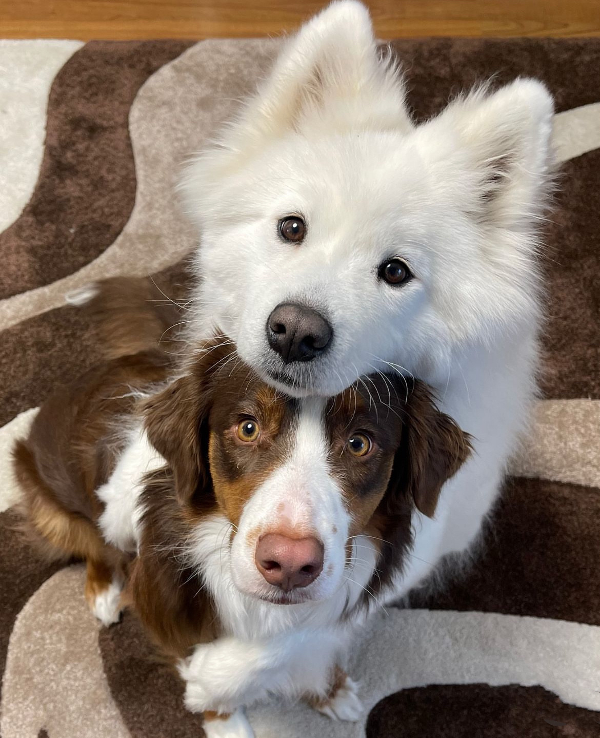 是的，我们天下第一最最好 