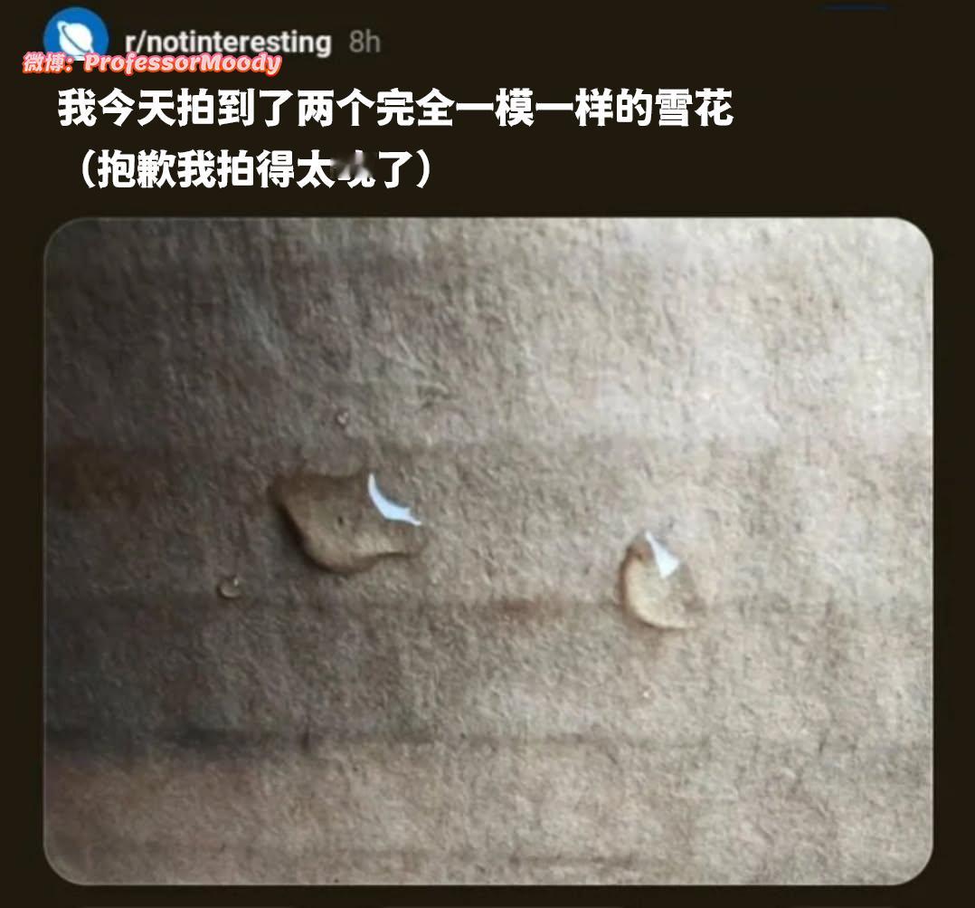还真是 