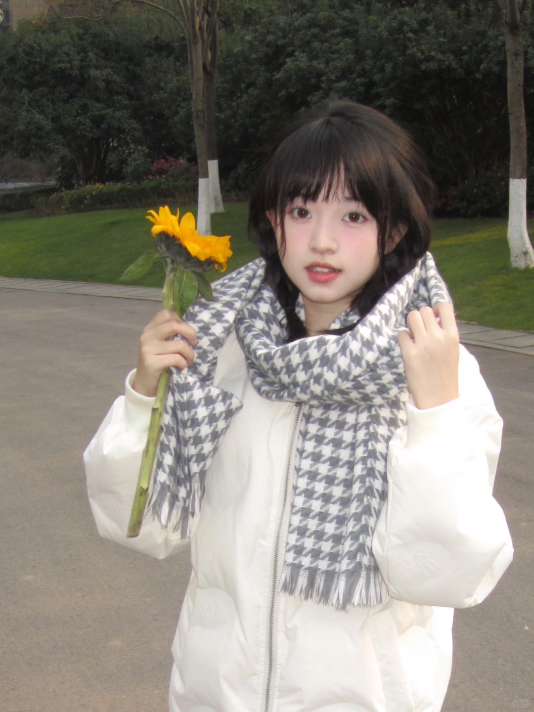 向日葵的花语