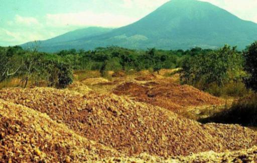 1997年，1.2万吨橘子皮被丢进了自然保护区，当地法院以“污染环境”为由，勒令