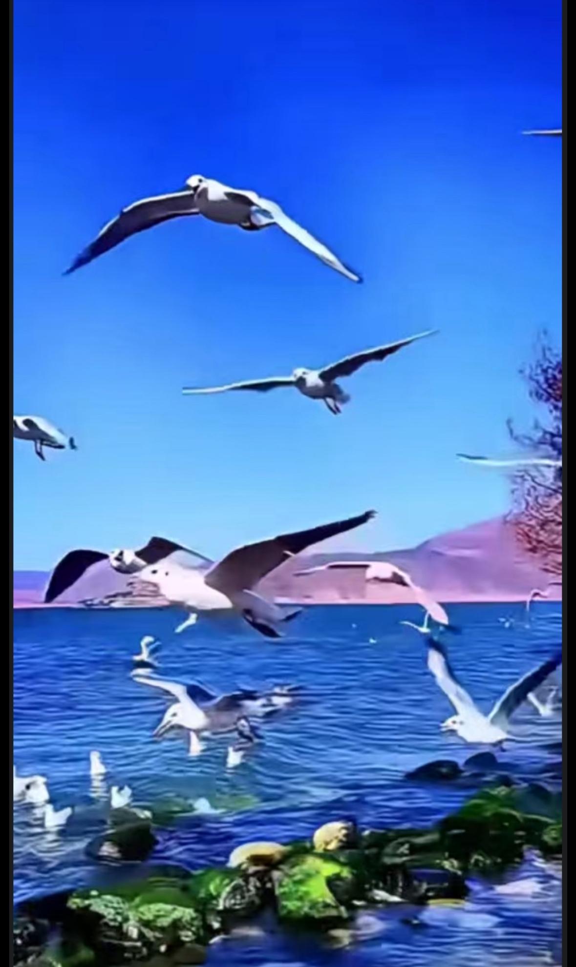 这个40岁男子是人渣，在光天化日之下那么恶劣，应该受到法律制裁。
那个高中男生直