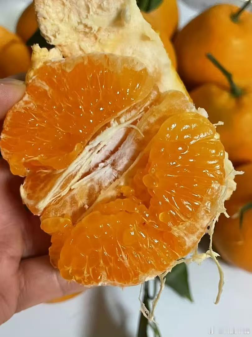 耙耙柑升级款夏雅柑，最佳赏味期，大概还能发10天左右，这款柑橘皮薄多汁，鲜嫩清甜