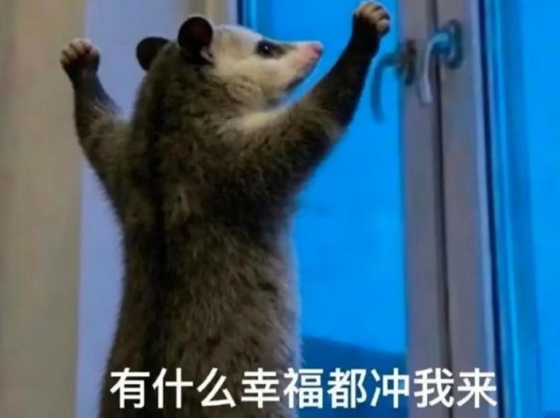有什么好事都冲我来呀！ 