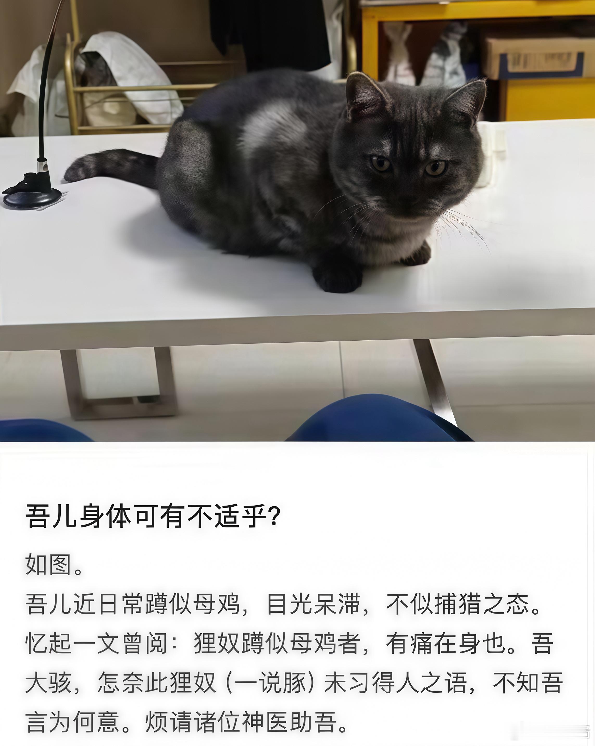 这条太萌了我和朋友一直笑 ​​​
