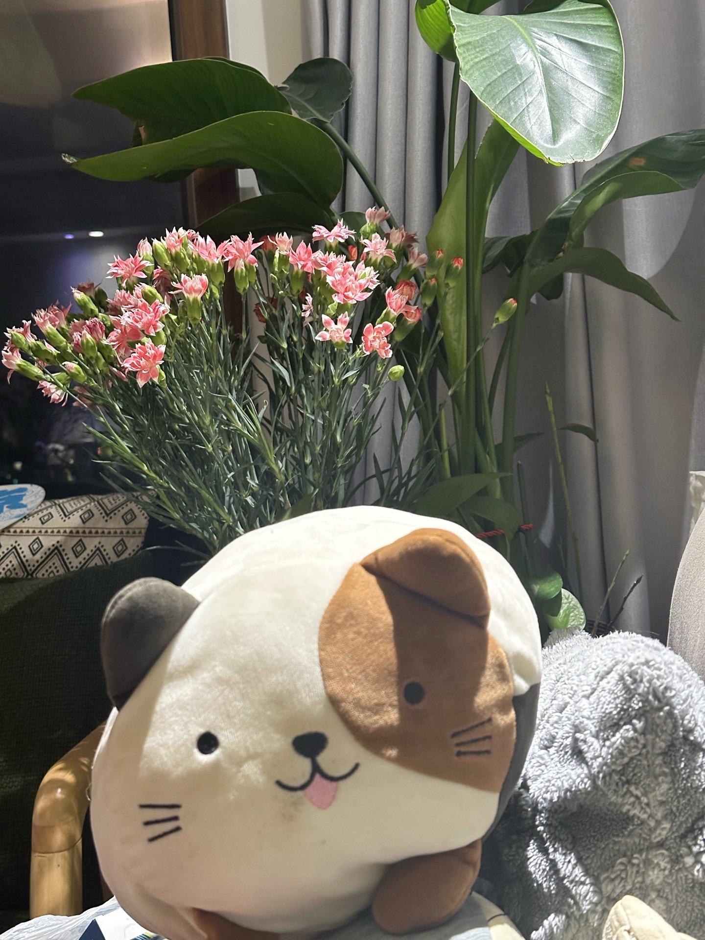 30岁前明白这些，少走几年弯路： 1. 钱是每个人的生命动力，这个世界...