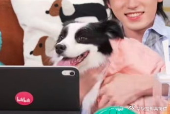 鼠标来了昂昂昂好久不见 