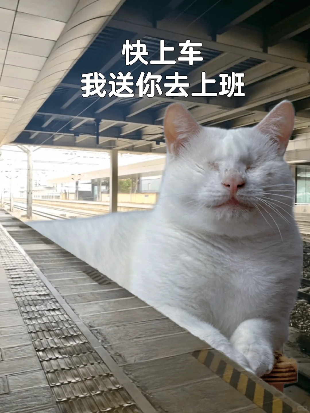 别忘了今天也是“工作日”