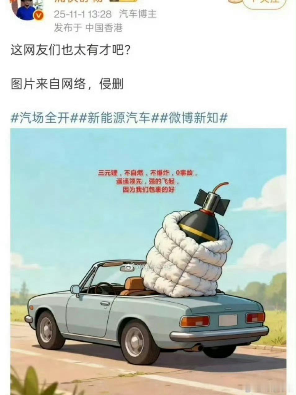 既蠢又坏的典型，无知又恶毒。有些品牌三元锂电池一个都没烧过，而有些品牌铁锂都烧一