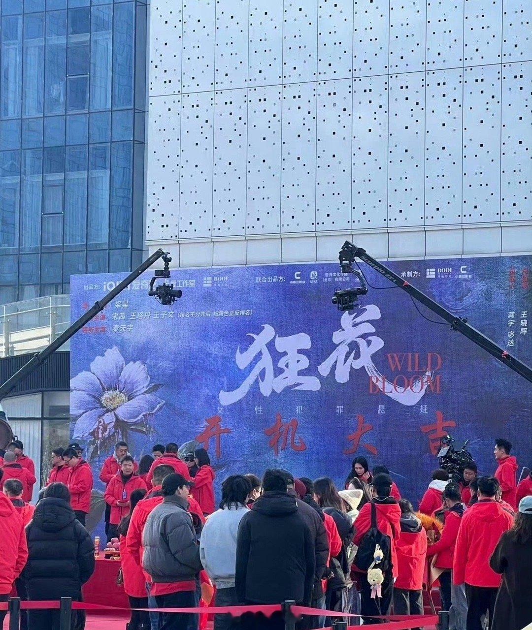 宋茜王珞丹王子文狂花平番哇塞，终于等来电视剧《狂花》的开机仪式了，没想到这部剧居