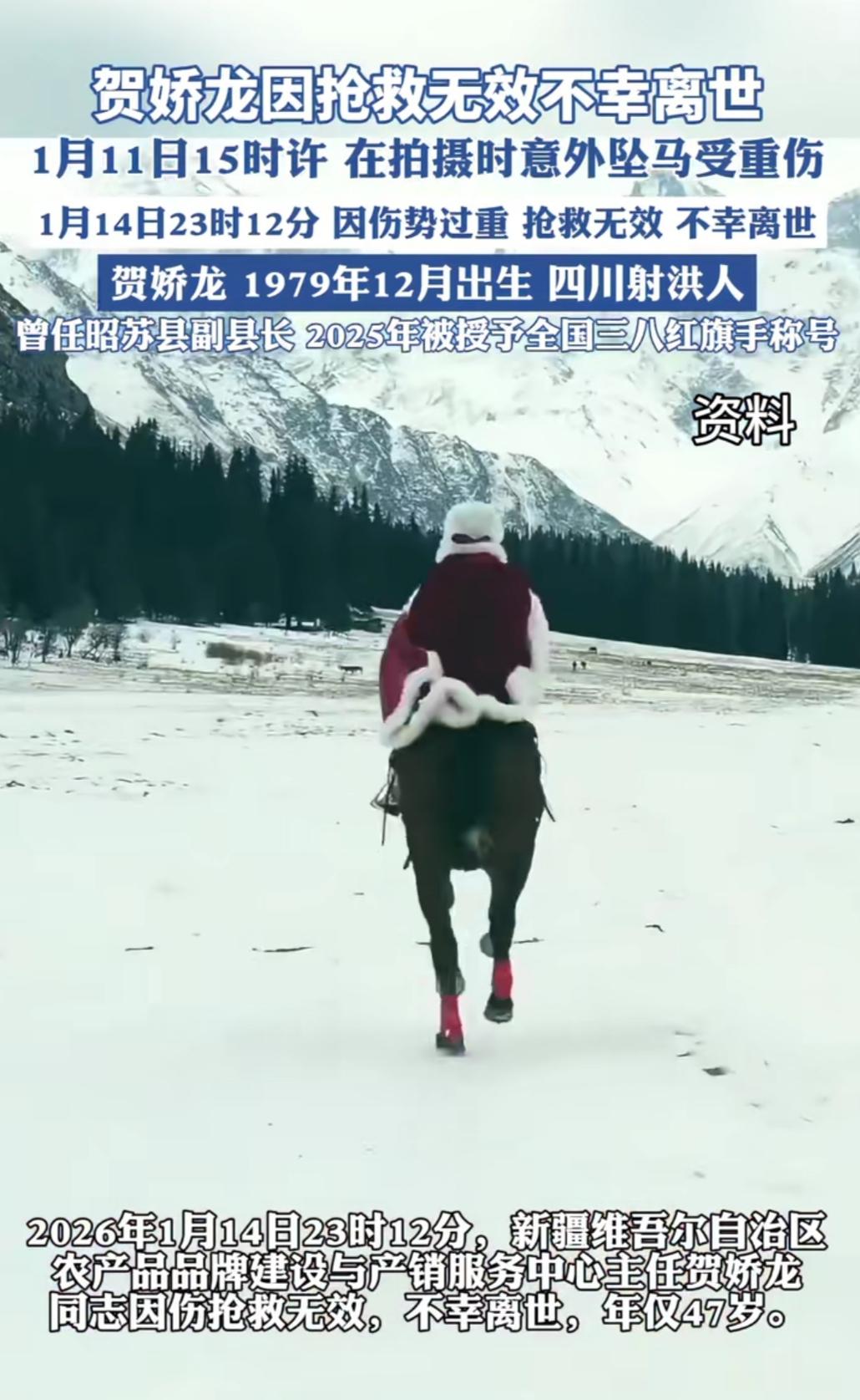 谁能不为贺娇龙的坚守动容？那个在草原上策马扬鞭、把助农路走得滚烫的身影，永远停在