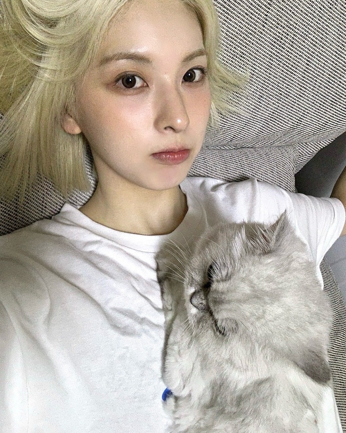 250813🫧nmixx裴真率 ​​​