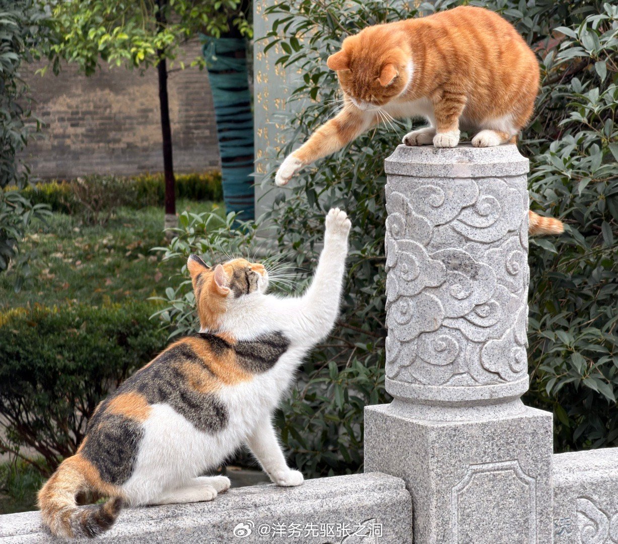 这可不是Hi Five这是“劳资打洗你！” ​​​