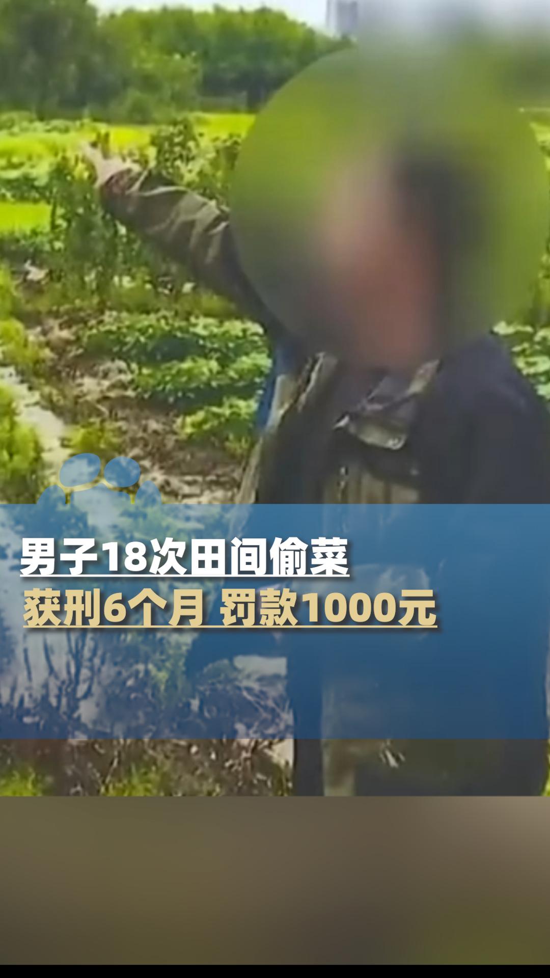 4个月偷菜18次获刑6个月：别让“小贪”拖垮人生
 
近日，江苏吴某因4个月内1