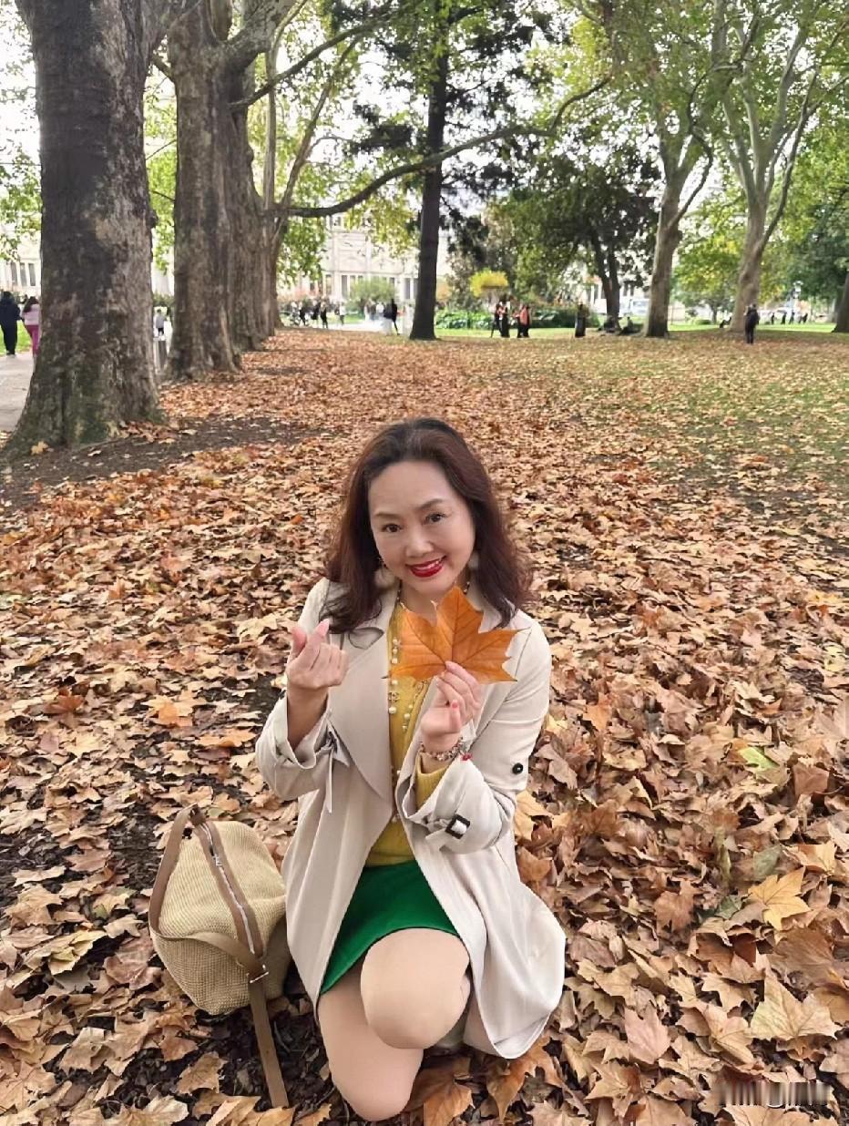 秋叶落满地，美人捧叶笑。