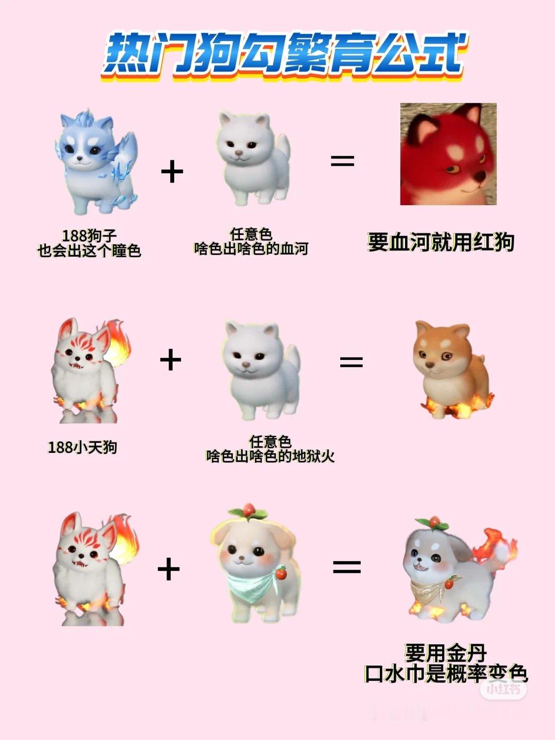 热门血河狗和其他品种繁育一图流 