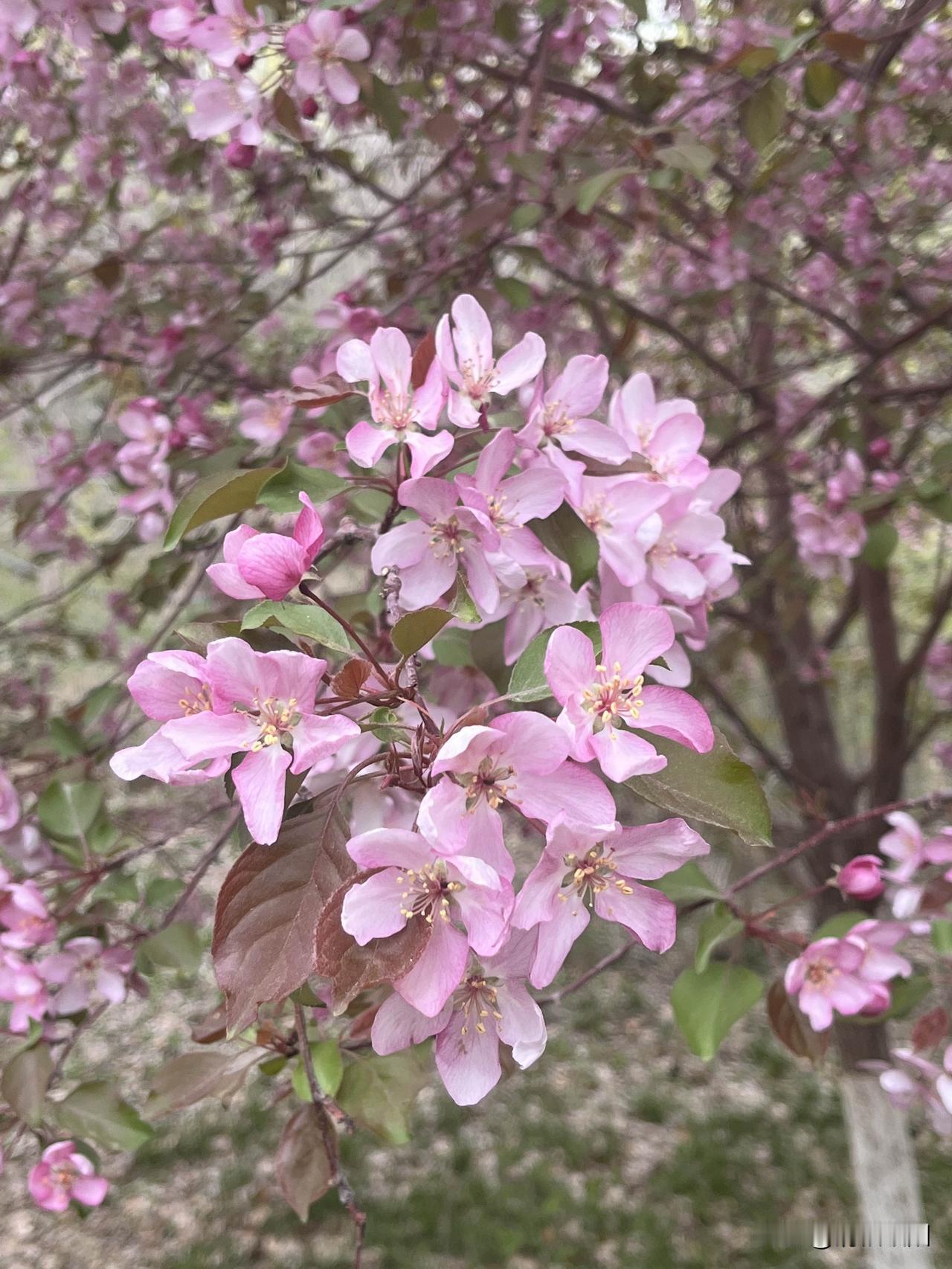 在凝固的空间里
寻着记忆的气息
误入梦的缝隙
抓住那瞬间消失的美丽
泛黄的日记本