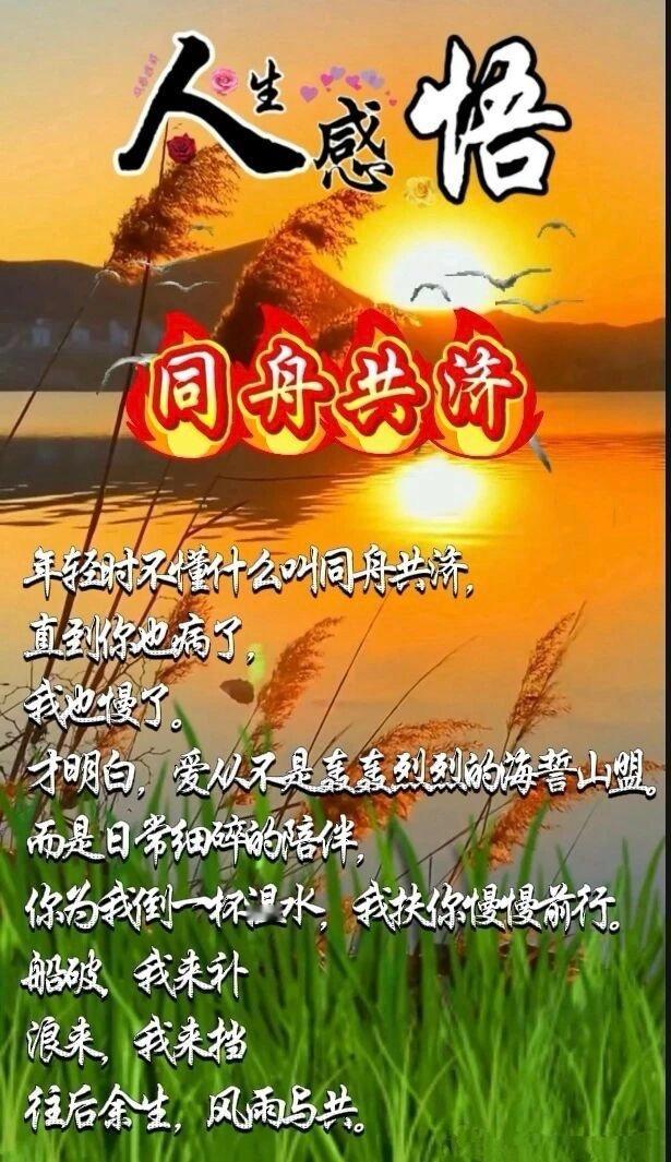 【人生感悟🌱】同舟共济🤝年轻的时候直不懂什么叫同舟共济，直到步入晚年，你脸上
