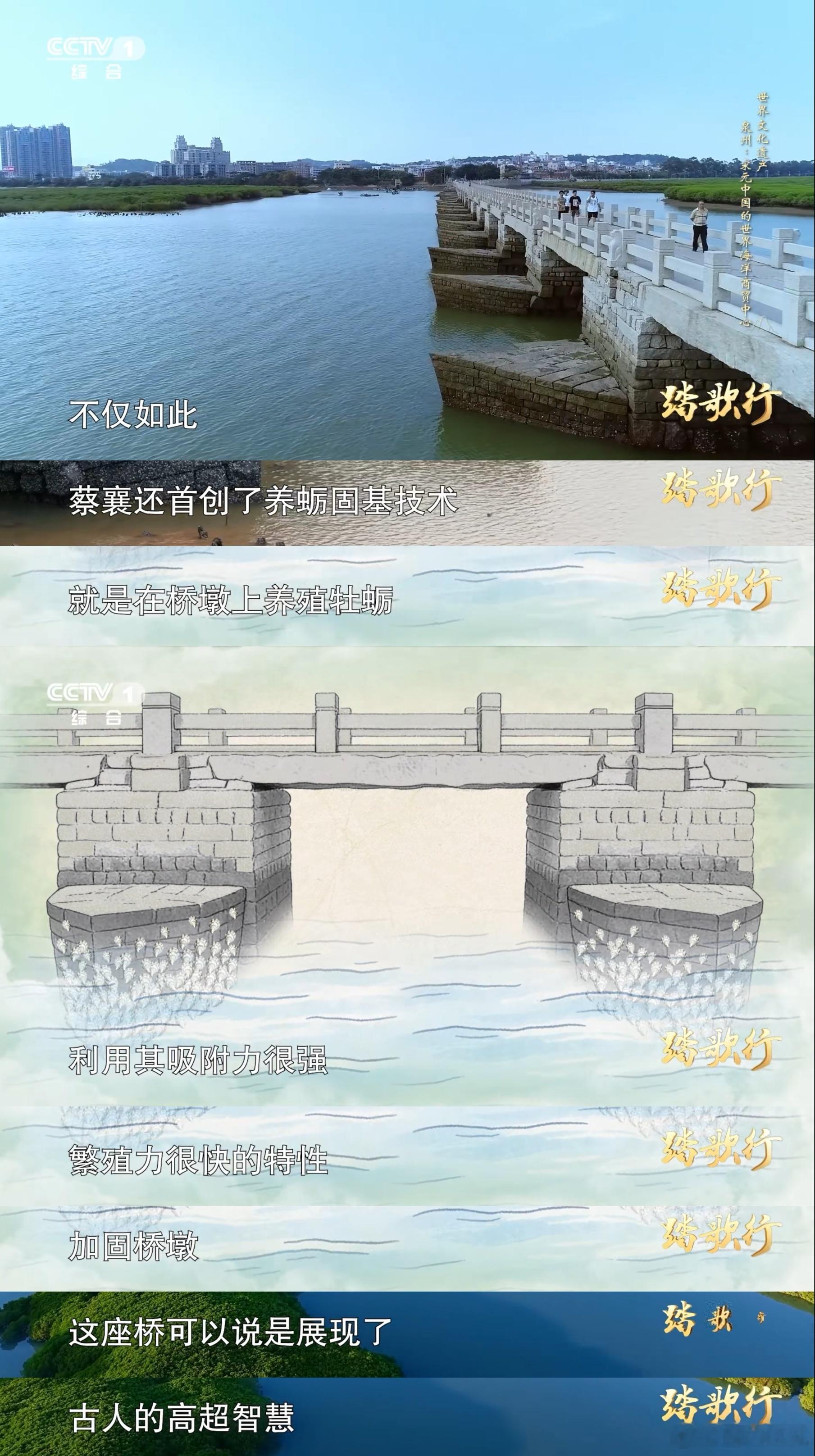 牡蛎也没想到自己能建大桥中国把基建狂魔刻进DNA 北宋泉州知州蔡襄，牵头官员百姓