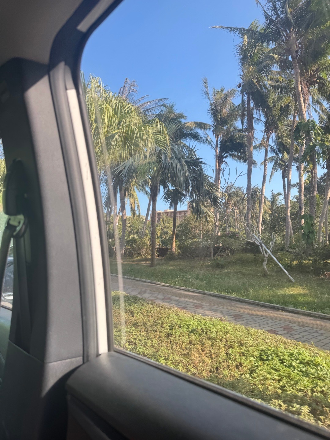 跟我妈不是一个作息 下午我妈出去玩回来了 我起床一个人出门了。。。 三亚