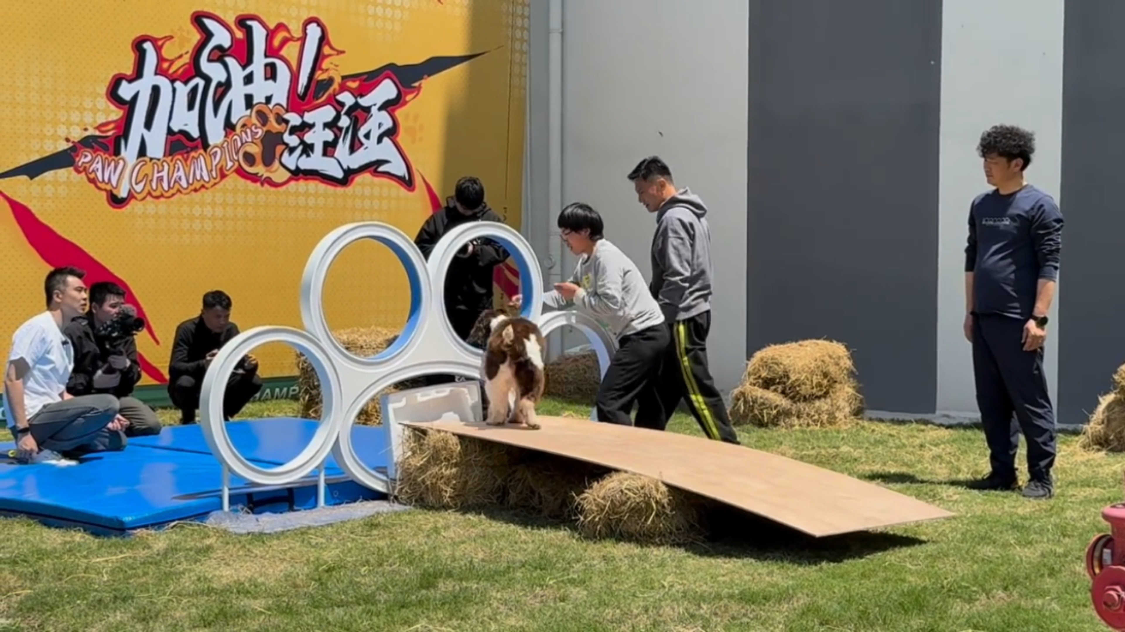 刘涛给煤气罐罐查理送去减肥训练营🈶 