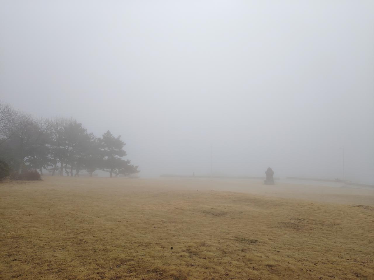 青岛的早春，是与雾相伴的季节。虽然春寒料峭，但这如梦似幻的“雾”正是青岛独特的城