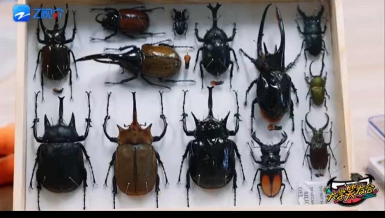 #大学笑友会浙大社团之旅#  “寻访团”  这一次的浙大社团寻访之旅，真的是收获