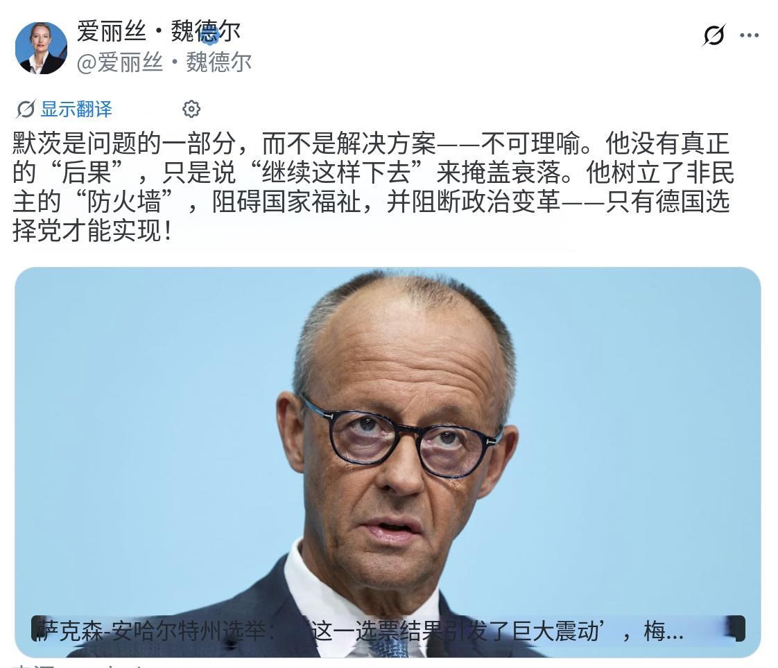 德国选择党联合主席魏德尔昨晚（北京时间9月7日）发文写道：“默茨是问题的一部分，