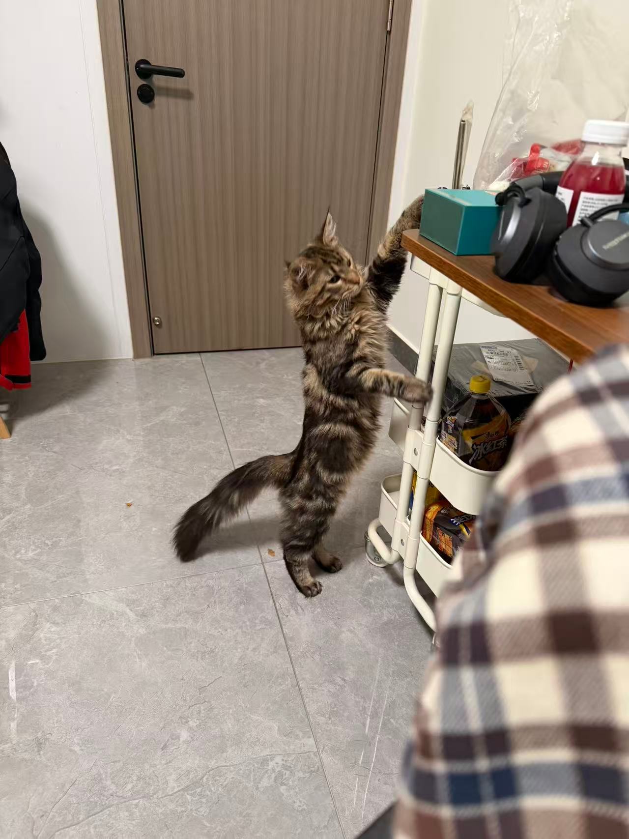 车若初见 马上就要有不好的事情发生