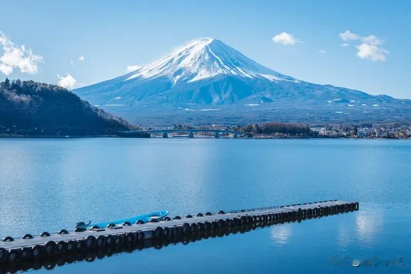 日本引进 5 万印度技术人才引发反移民抗议

8 月，日本首相石破茂与印度总理莫