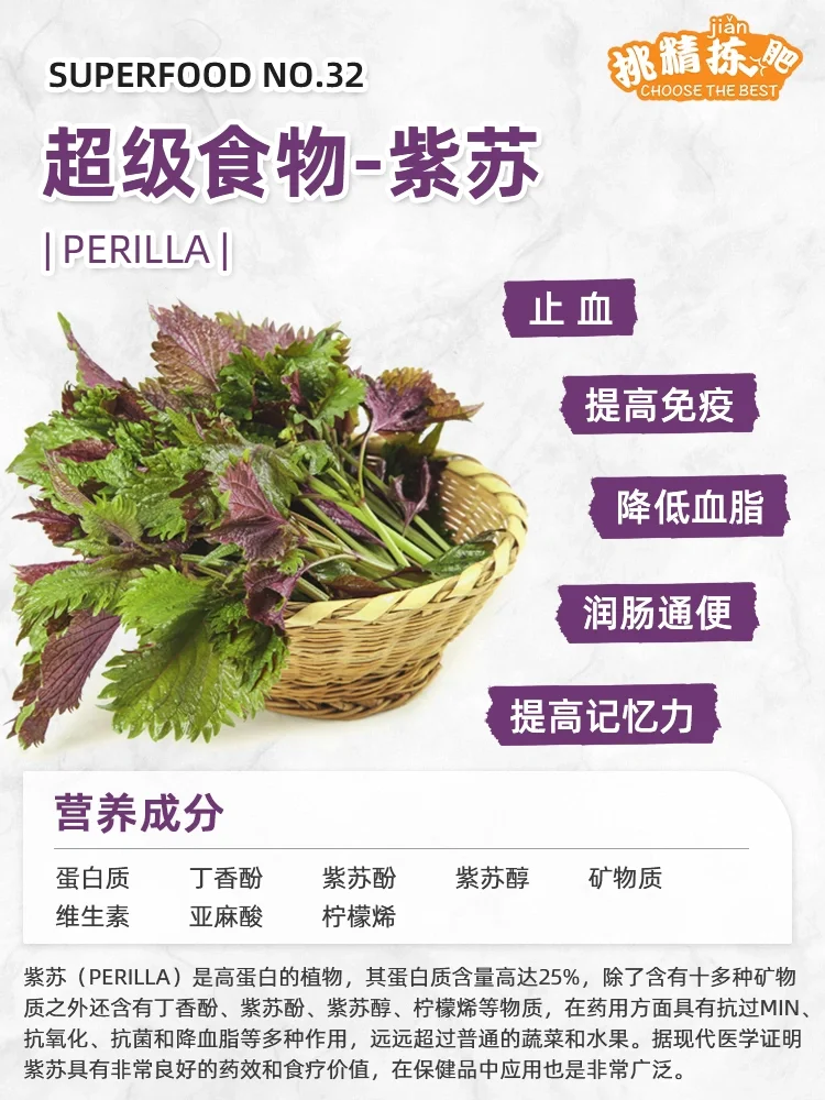 超级食物vol.32|紫苏  Perilla