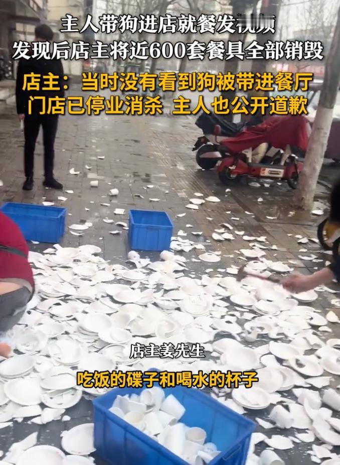 店主怒砸六百套餐具是较真还是过激？顾客带狗进店就餐还公开视频是真爱还是无知？
