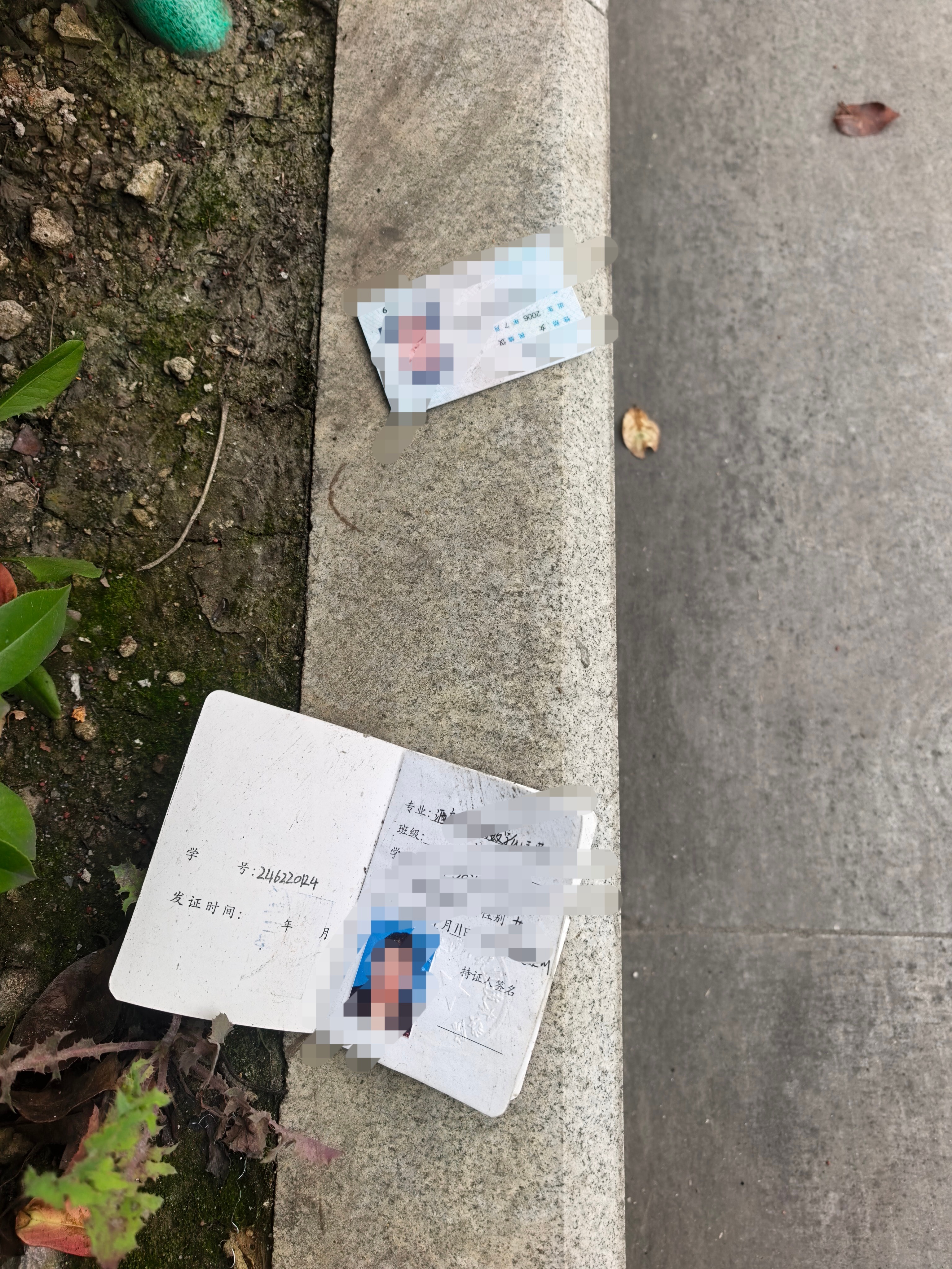 白鹿 谁在地铁口附近掉了证件？？？？？ 