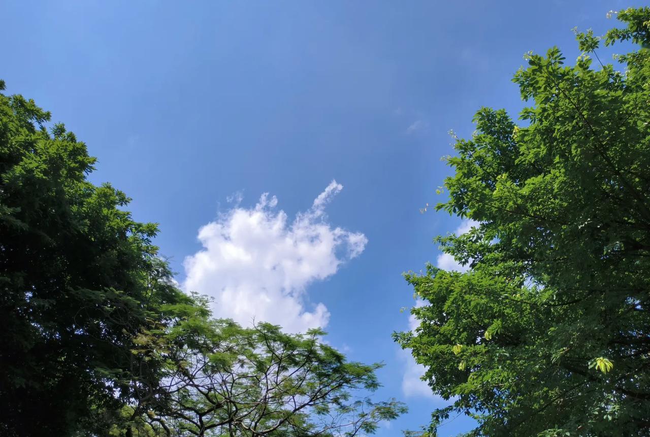 心地好，风水也好。
经常在网上看到这么一个故事，讲好心人，请风水先生来看风水，风