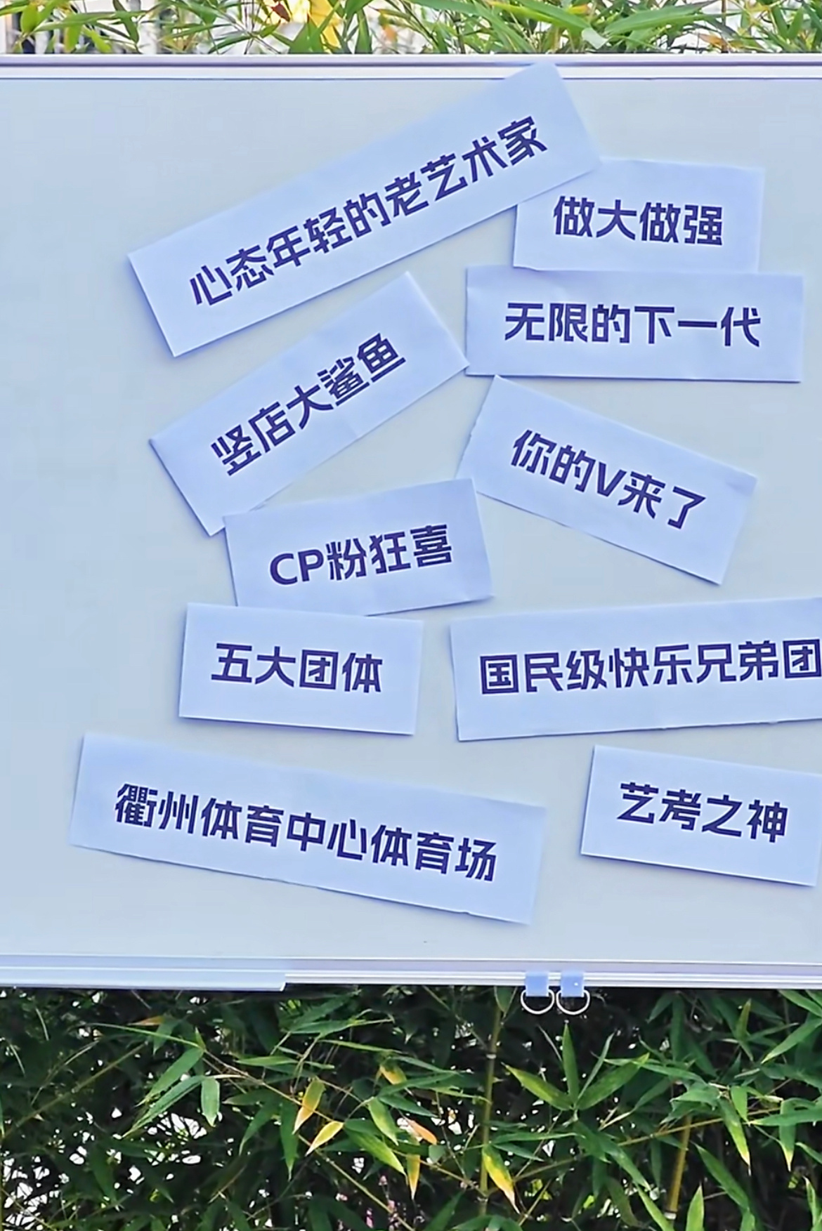 浙江卫视跨年官宣阵容 浙江卫视开始宣跨年了黄子弘凡 白鹿 宋雨琦 邵子恒 侯明昊