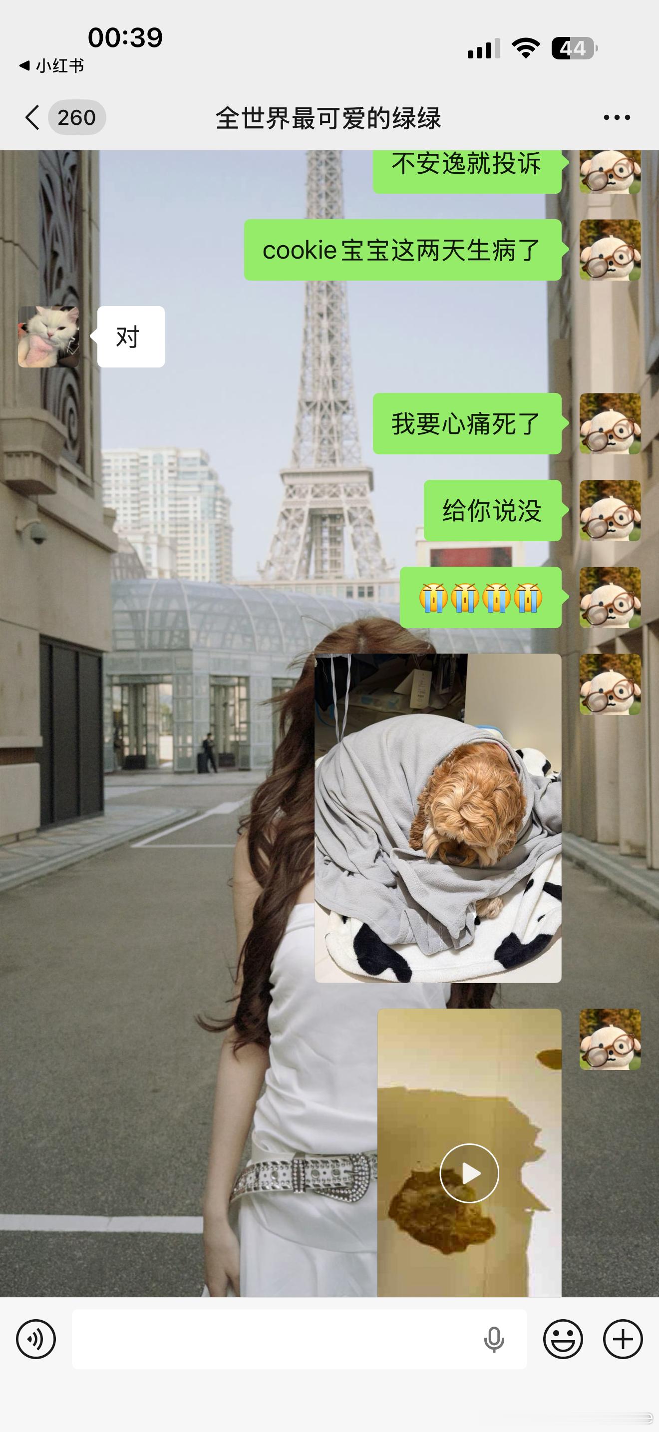 我不行了啊啊啊啊啊啊啊啊啊啊啊啊啊 