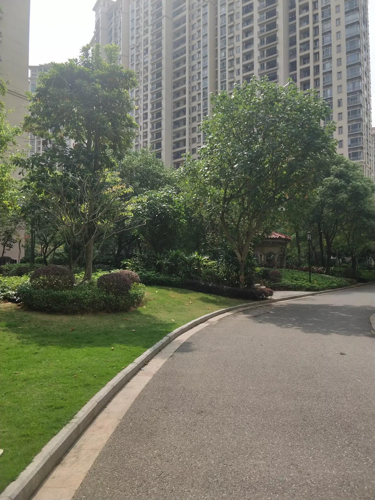《晨运时光》现代诗
 
晨曦轻轻拉开帷幕，
世界从沉睡中慢慢苏醒。
微风拂过脸庞