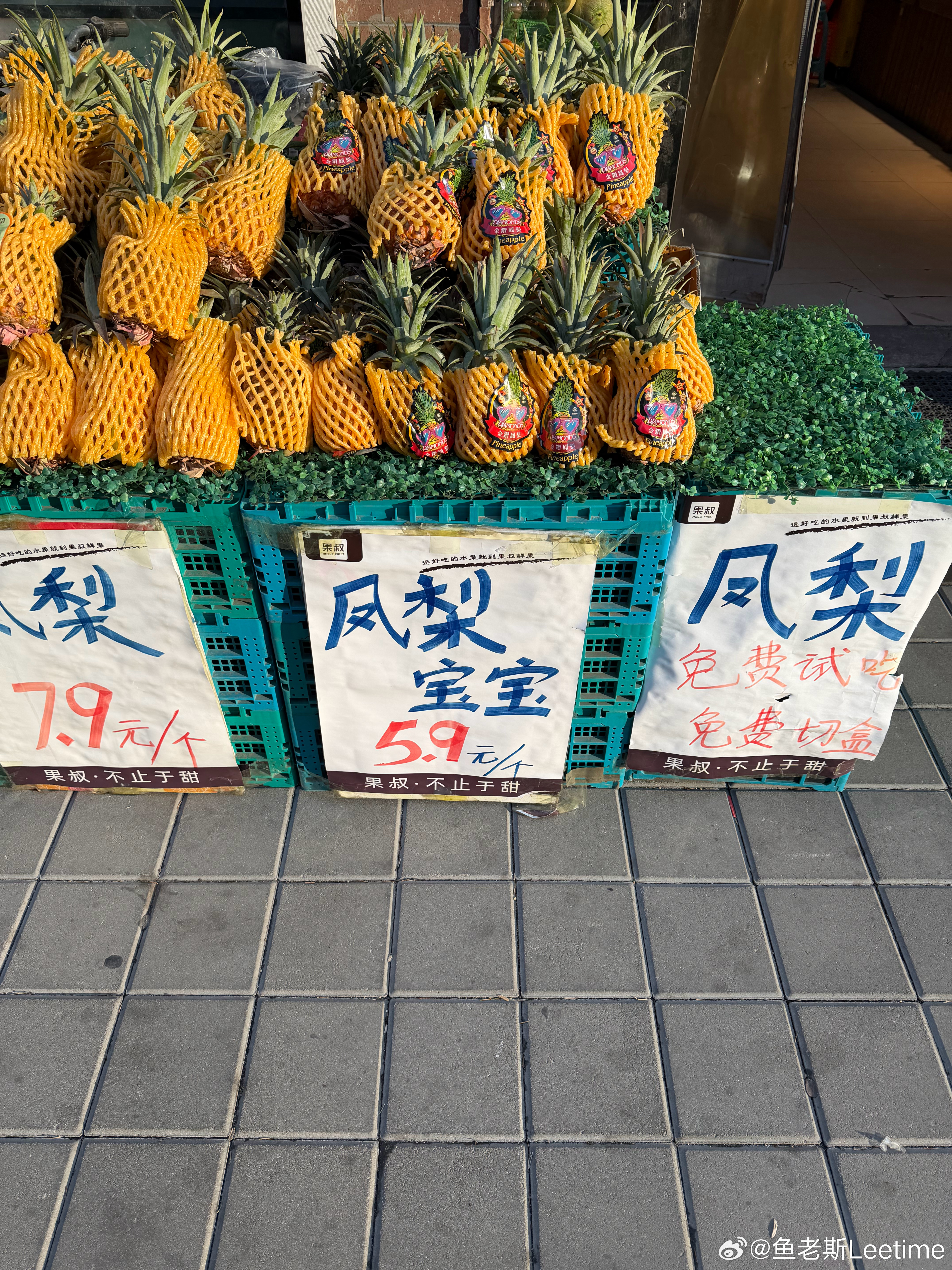 买凤梨的时候居然有个凤梨宝宝...