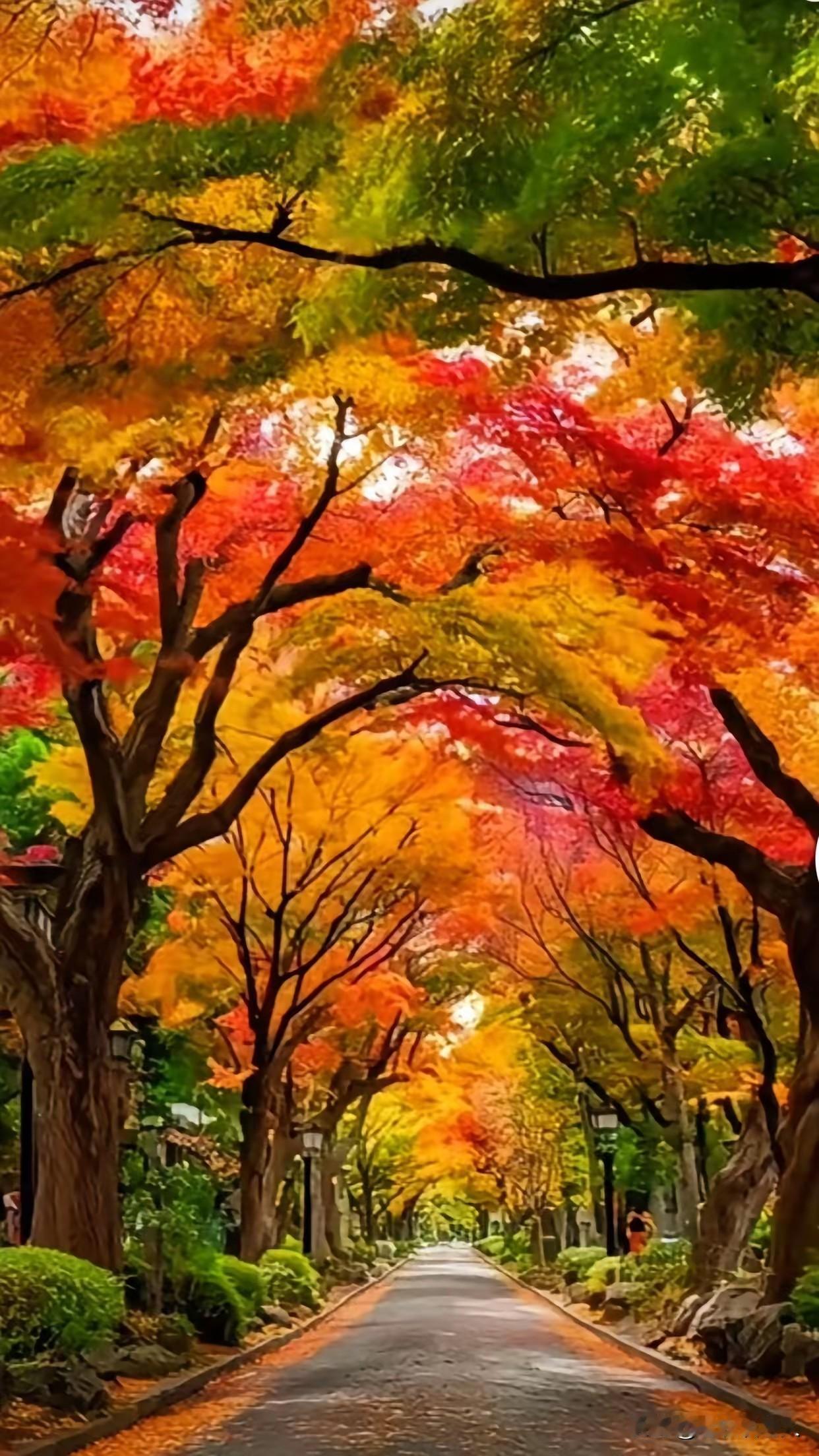 台湾问题的解决之道，应该是这样的进行！
中国人讲究，“以和为贵，和以安天下”和“