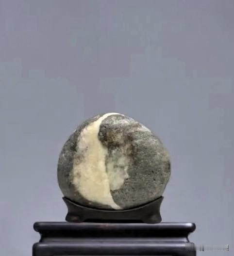 赏石 品佳作