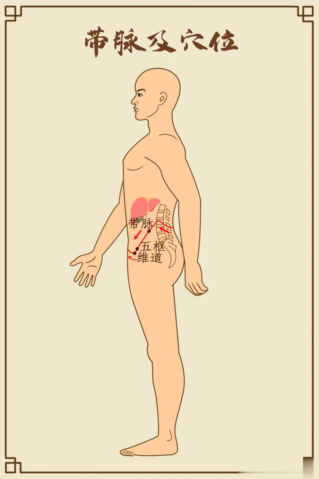 一个可以瘦肚子的神秘部位！[赞]来源：道医 #中医式生活# 小腹肥胖是件很让人头