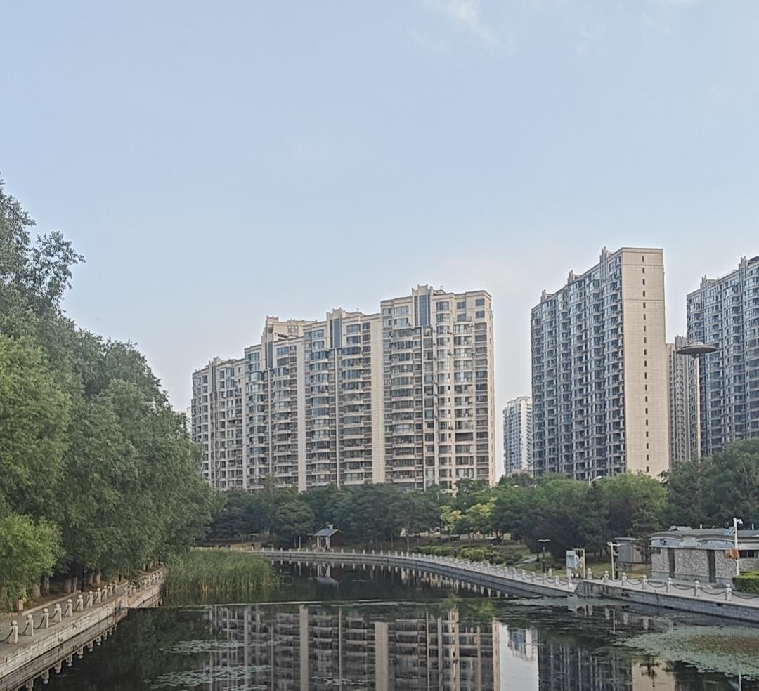 昨天一早上我在小区跑步，跑到一个老头领三狗，两条狗屁股挨地在拉屎，狗在小区干净如