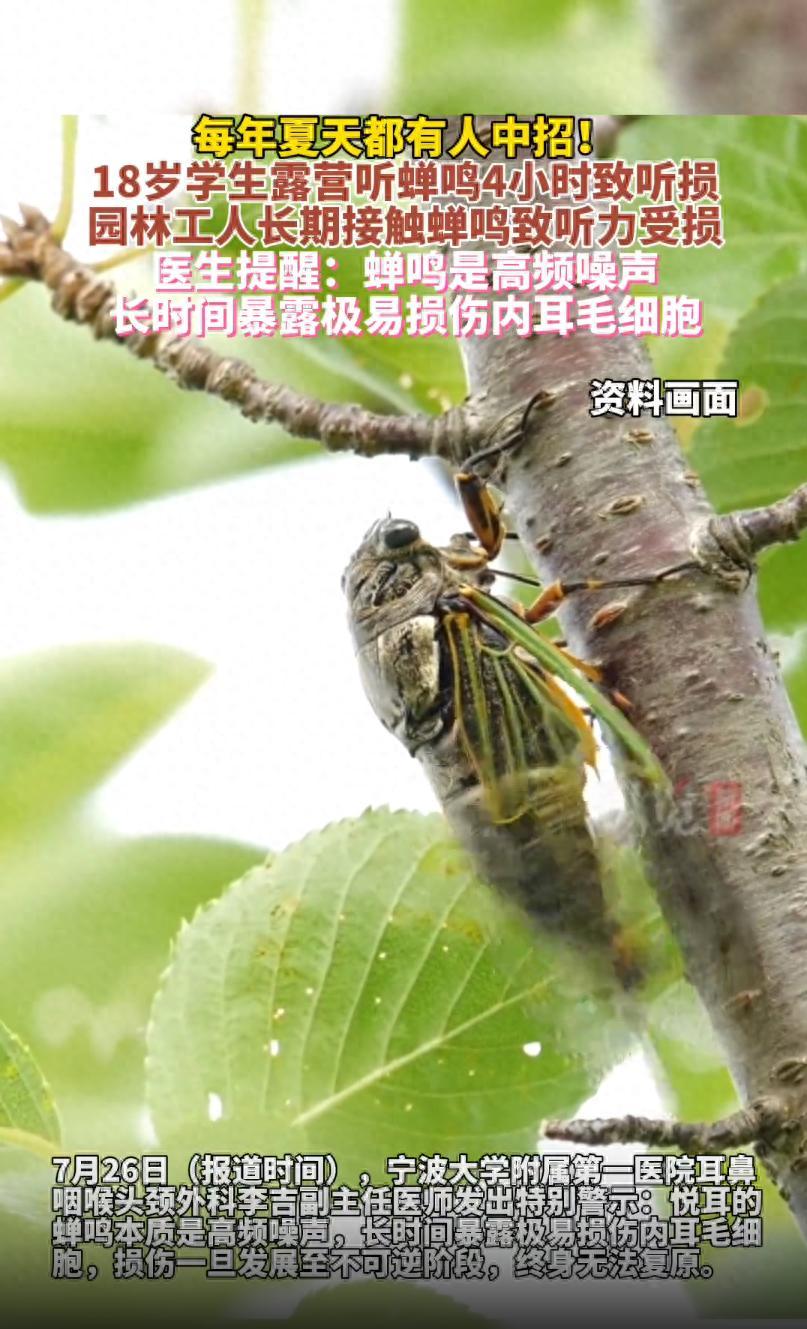细思极恐！浙江宁波，一名18岁学生暑假进山露营，在密林中连续听了4小时蝉鸣，全程