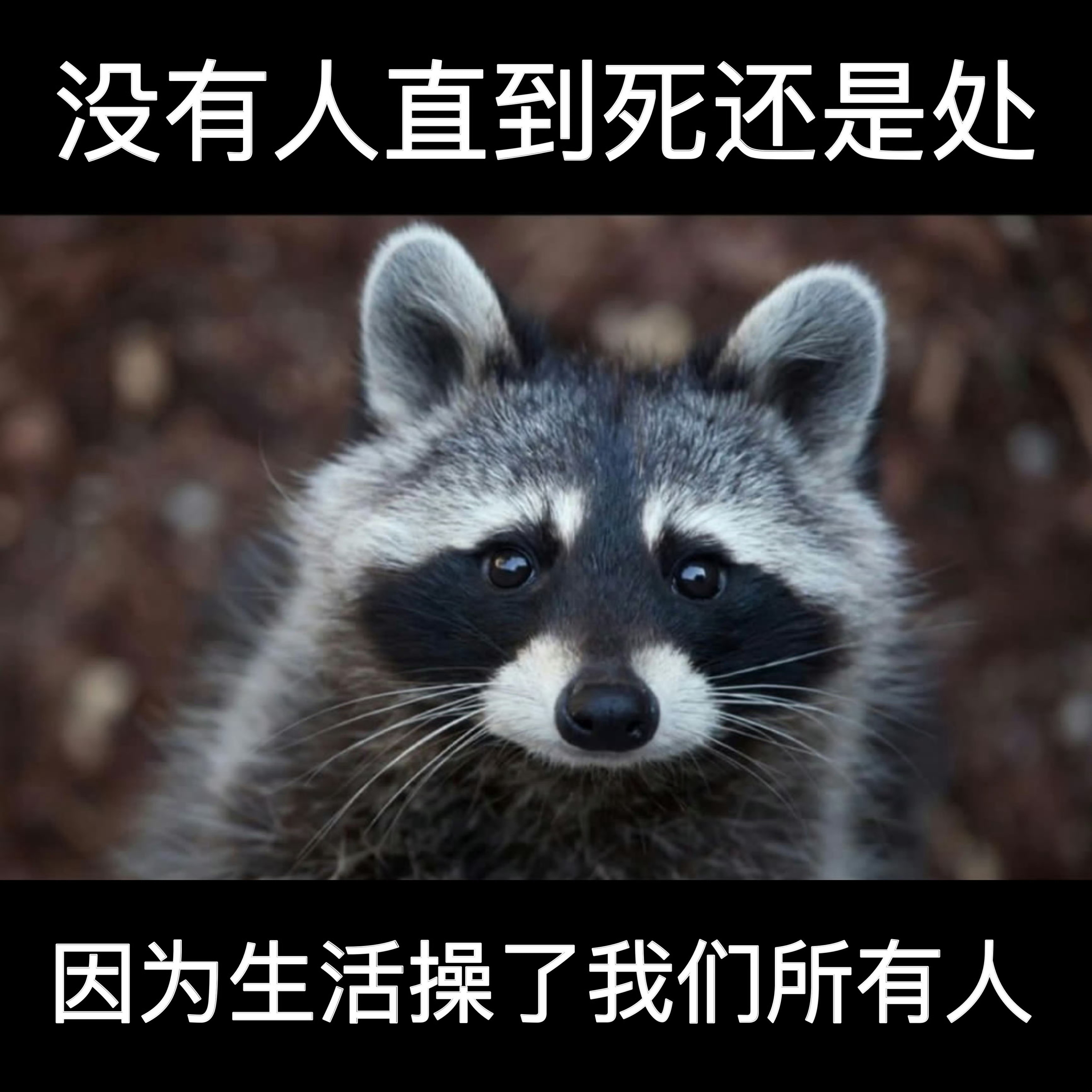 一无是处meme