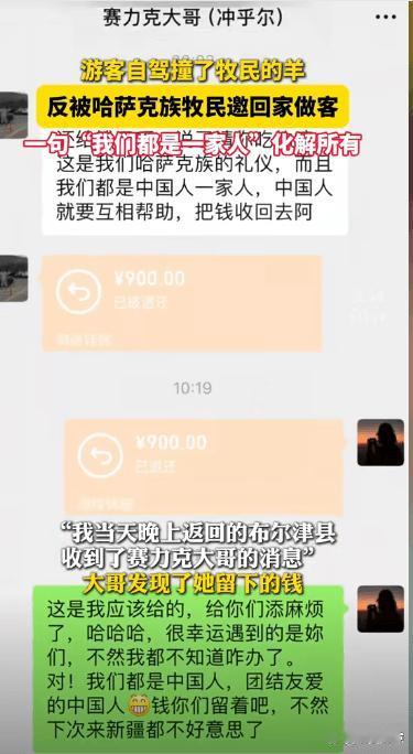 太暖心了！新疆，一女子去阿勒泰旅游，找露营地时不慎撞伤了牧民家的一只羊，看到羊主