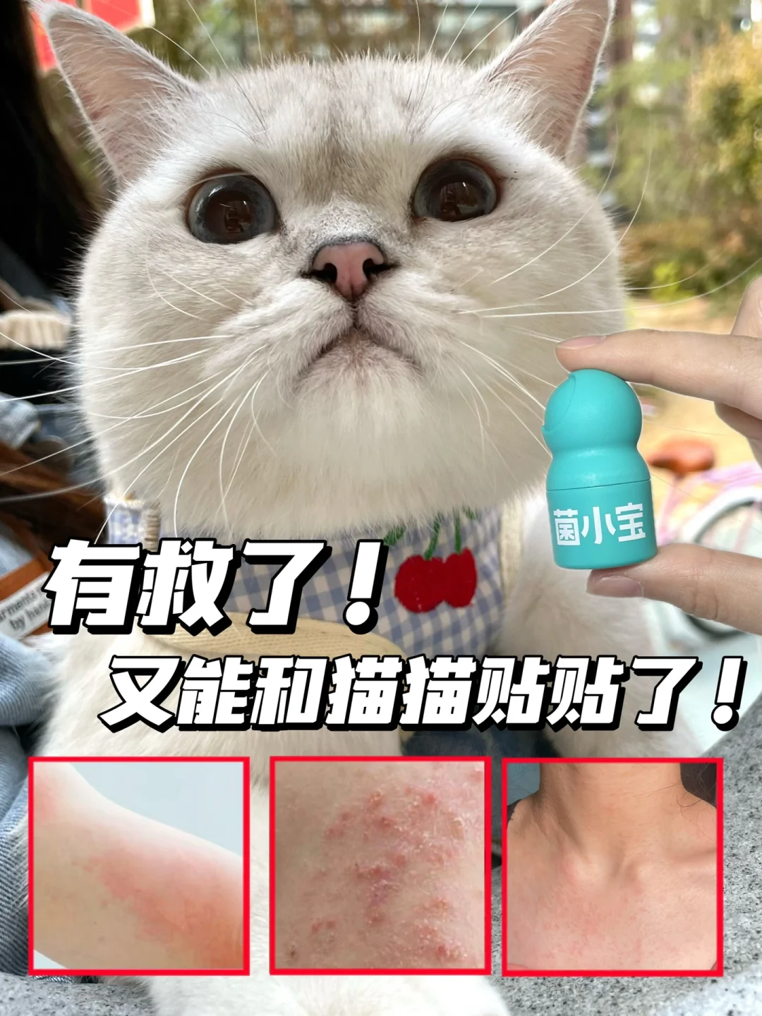 匹诺曹自救指南‼️全靠它！！！