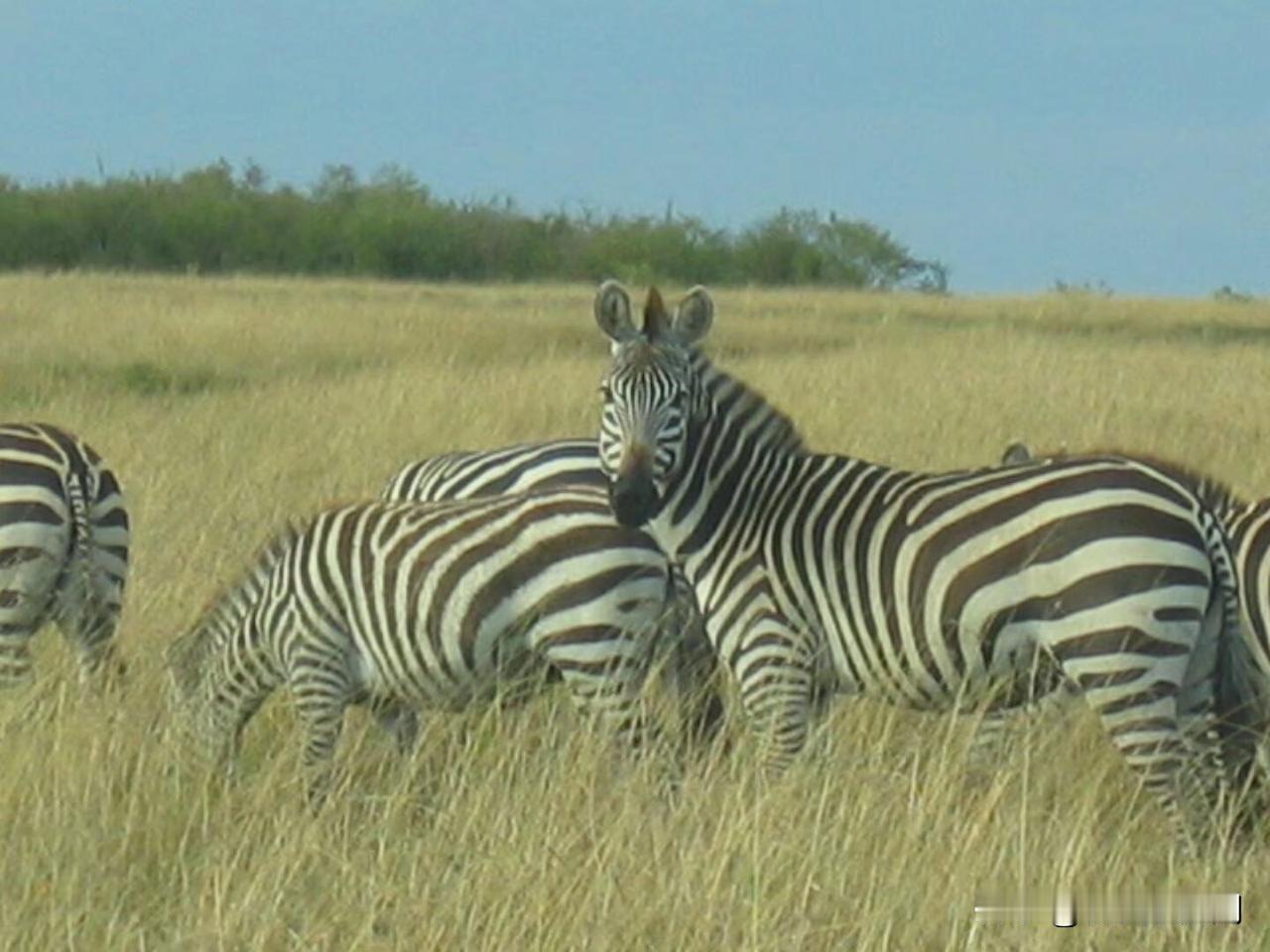 这次初三上学期期末考是全区统考，要进行全区排名。

上周考试完毕，考试期间，宝子
