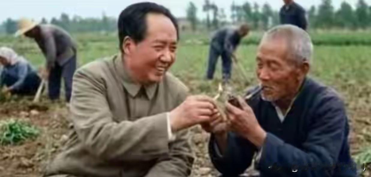 毛主席给农民点烟？这张刷屏几十年的“暖心照”，真相恰恰相反。

1957年，团代
