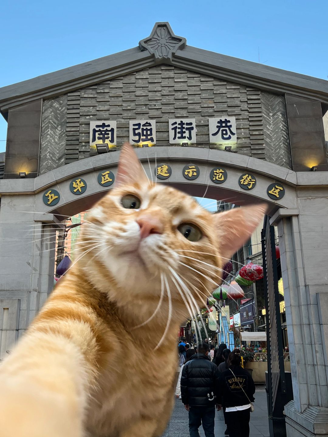 猜你没亲过奶香味的大海🍊