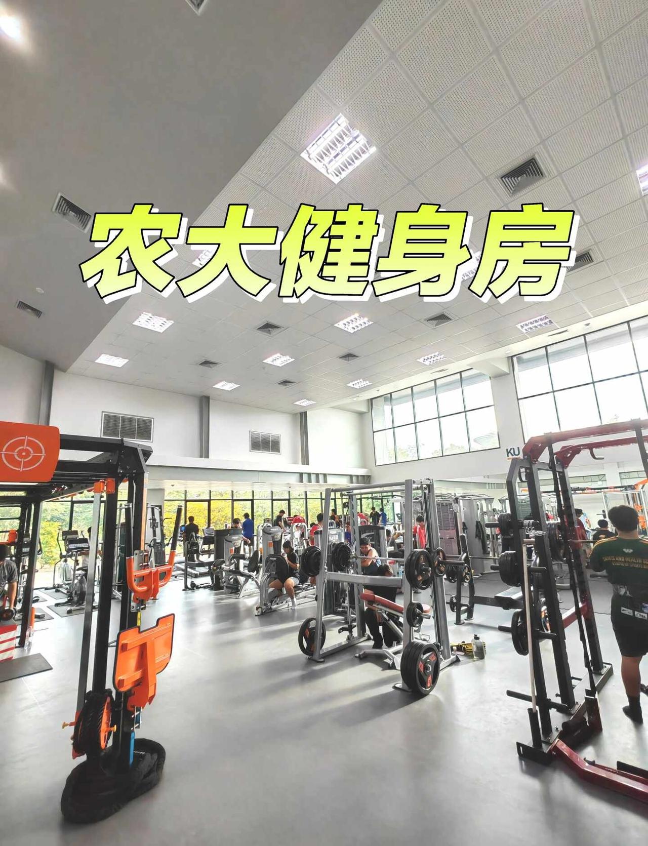 泰国农业大学-健身房
来农大有一个月了，健身房是日常必去的地方。
	
健身房就位